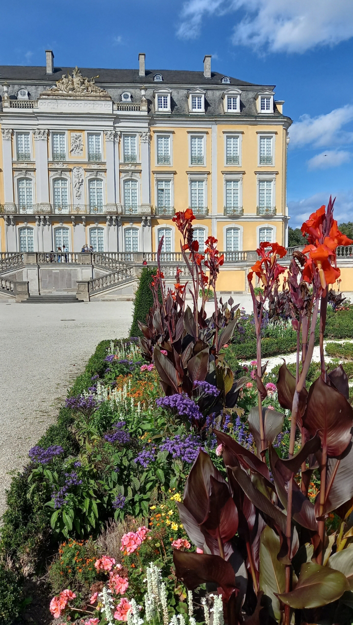 screenshot 20250703 175147 gallery